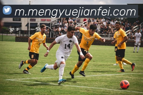 伟德首页服务体系